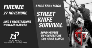 Read more about the article STREET KNIFE SURVIVAL